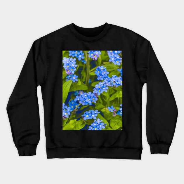 Forget-me-not, blue, tender flowers Crewneck Sweatshirt by Hujer